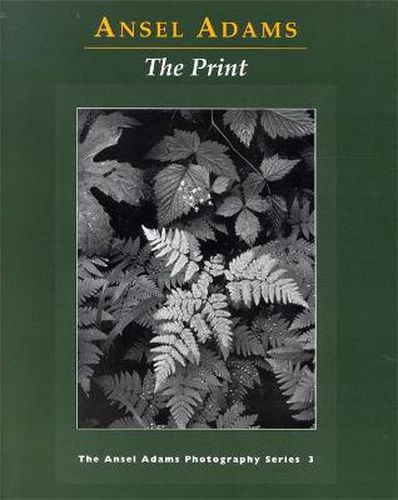 Cover image for New Photo Series 3: Print
