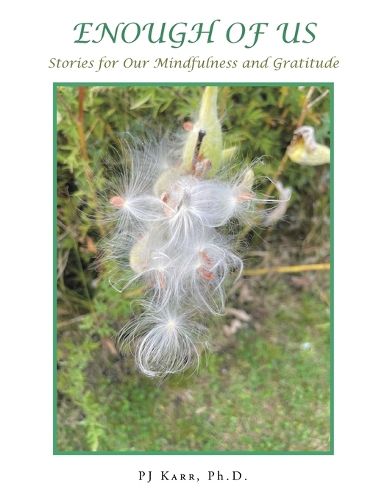 Cover image for Enough of Us