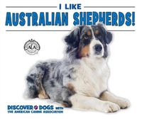 Cover image for I Like Australian Shepherds!