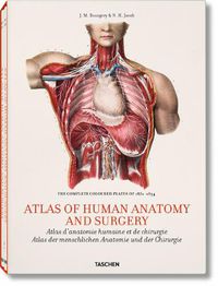 Cover image for Bourgery. Atlas of Human Anatomy and Surgery