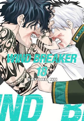 Cover image for WIND BREAKER 18