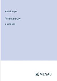 Cover image for Perfection City