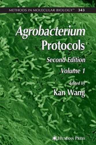 Cover image for Agrobacterium Protocols: Volume I