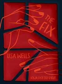 Cover image for The Fix