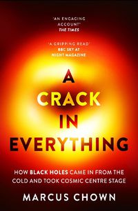 Cover image for A Crack in Everything