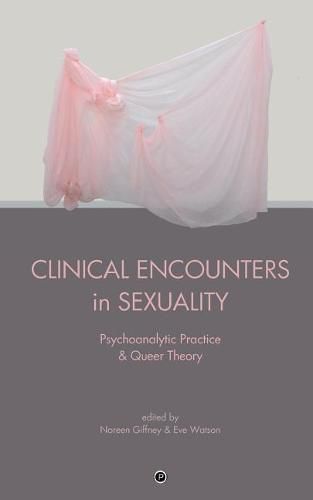 Cover image for Clinical Encounters in Sexuality: Psychoanalytic Practice and Queer Theory