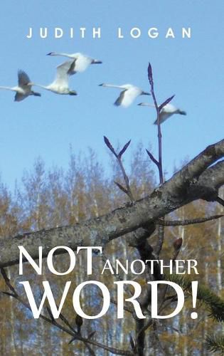 Cover image for Not Another Word!