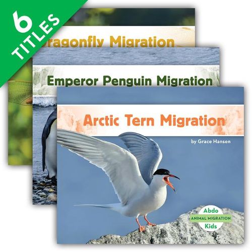 Cover image for Animal Migration Set 2 (Set)