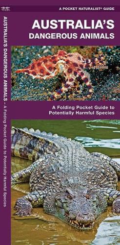 Cover image for Australia's Dangerous Animals: A Folding Pocket Guide to Potentially Harmful Species