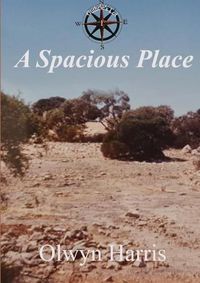 Cover image for A Spacious Place