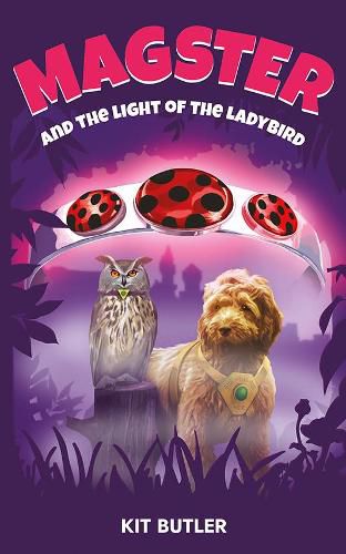 Cover image for Magster and the Light of the Ladybird