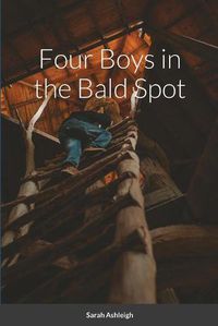 Cover image for Four Boys in the Bald Spot
