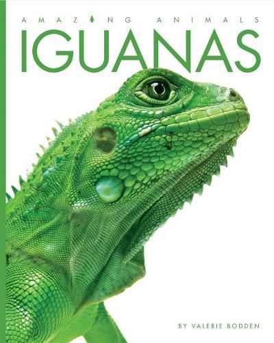 Cover image for Amazing Animals: Iguanas