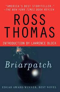 Cover image for Briarpatch