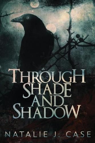 Cover image for Through Shade And Shadow