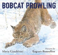 Cover image for Bobcat Prowling