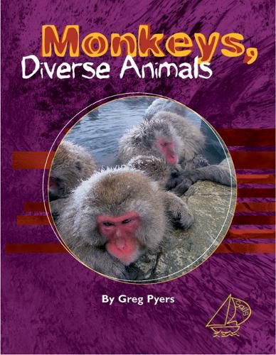 MainSails 2: Monkeys, Diverse Animals