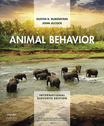 Animal Behavior