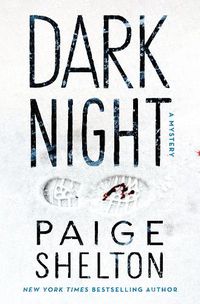 Cover image for Dark Night: A Mystery