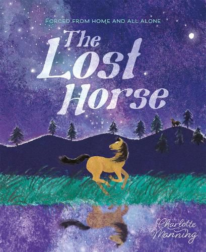 Cover image for The Lost Horse: Forced from home and all alone