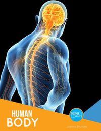 Cover image for The Human Body