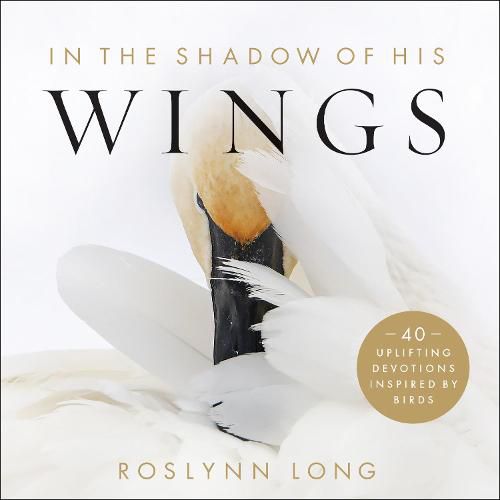 Cover image for In the Shadow of His Wings: 40 Uplifting Devotions Inspired by Birds