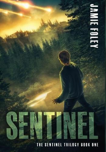 Cover image for Sentinel