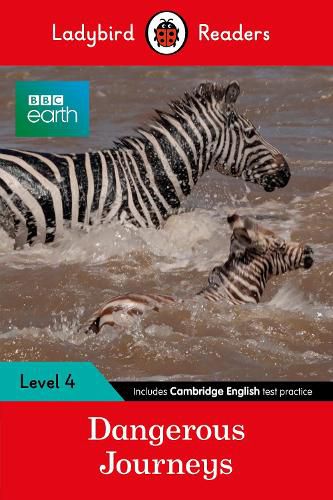Cover image for Ladybird Readers Level 4 - BBC Earth - Dangerous Journeys (ELT Graded Reader)