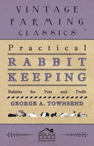 Cover image for Practical Rabbit Keeping - Rabbits for Pets and Profit