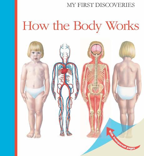 Cover image for How the Body Works