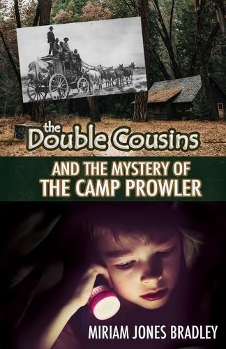 Cover image for The Double Cousins and the Mystery of the Camp Prowler