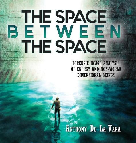 Cover image for The Space Between the Space
