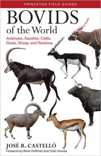 Cover image for Bovids of the World: Antelopes, Gazelles, Cattle, Goats, Sheep, and Relatives