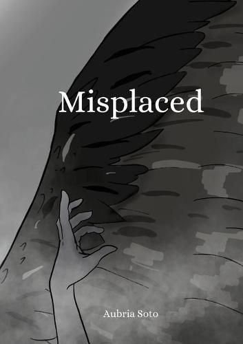 Cover image for Misplaced