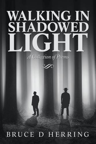 Cover image for Walking in Shadowed Light