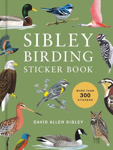 Cover image for Sibley Birding Sticker Book