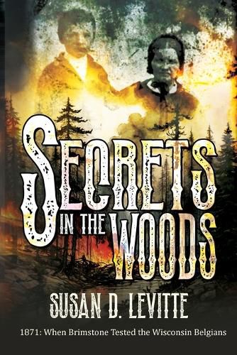 Cover image for Secrets in the Woods