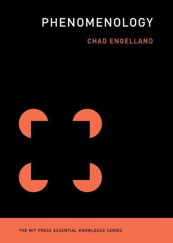 Cover image for Phenomenology