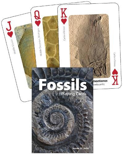 Cover image for Fossils Playing Cards