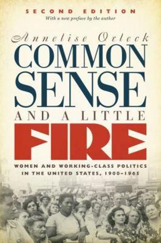 Cover image for Common Sense and a Little Fire: Women and Working-Class Politics in the United States, 1900-1965