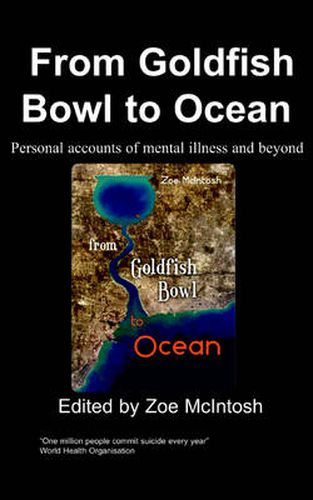 Cover image for From Goldfish Bowl to Ocean