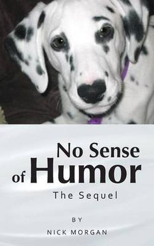 No Sense of Humor