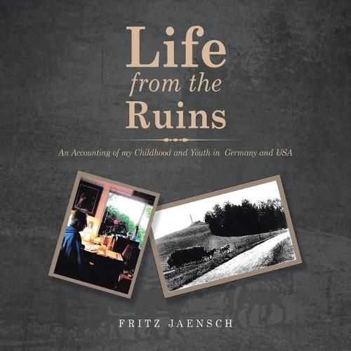 Cover image for Life from the Ruins