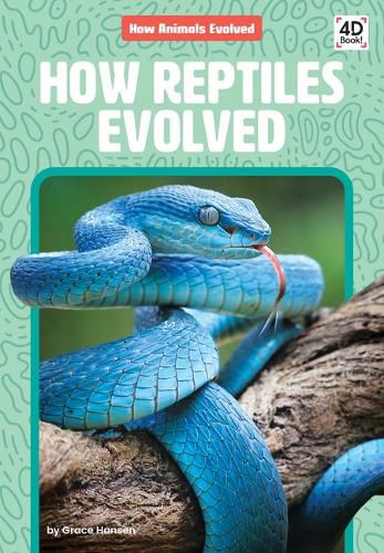 Cover image for How Reptiles Evolved