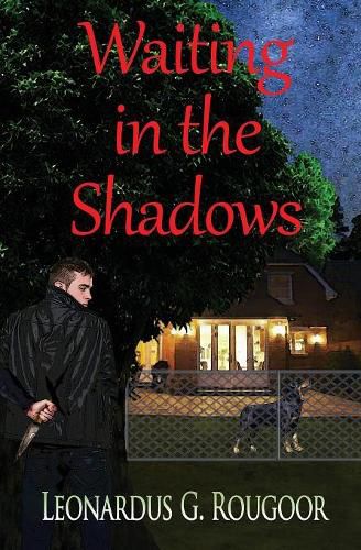 Cover image for Waiting in the Shadows