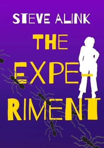 Cover image for The Experiment