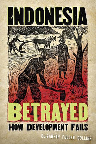 Cover image for Indonesia Betrayed: How Development Fails