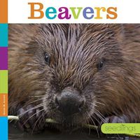 Cover image for Beavers