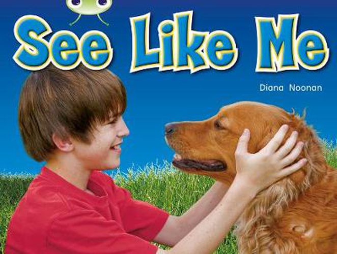 Cover image for Bug Club Guided Non Fiction Reception Red 1 See Like Me