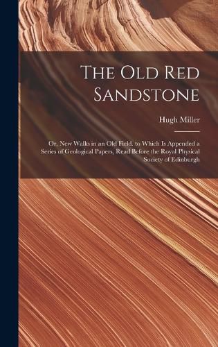 Cover image for The Old Red Sandstone